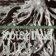 Brett Wellman & the Stone Cold Blues Band - Rooted in the Blues (2014)