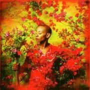 Gail Ann Dorsey - I Used To Be... (2004)