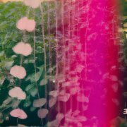 Snowpoet - Heartstrings (2025) [Hi-Res]
