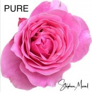 Stephan Meinl - Pure (2023) Hi-Res