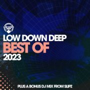 VA - Low Down Deep Best Of 2023 (2024)