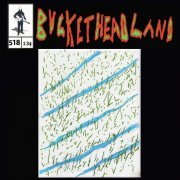 Buckethead - Mirror Streams (Pike 518) (2024)