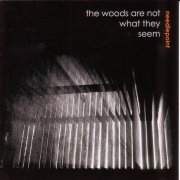 Needlepoint - The Woods Are Not What They Seem (2010)