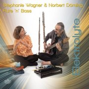 Stephanie Wagner & Norbert Dömling Flute 'n' Bass - Elektrolyte (2026)
