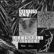 VA - Shiny.non.definable.rarities.04 (2026)
