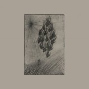 Áine O'Dwyer - Locusts (2017) [Hi-Res]