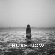 Sunny Levine - Hush Now (2013)