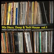 VA - 90s Disco, Deep & Tech House Vol. 1 (Hidden and Forgotten Amazing Collection) (2025)
