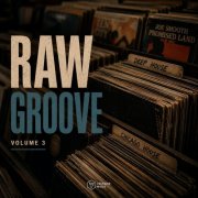 VA - Raw Groove Vol. 3 (2026)