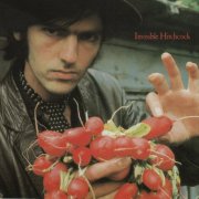 Robyn Hitchcock - Invisible Hitchcock (1995)