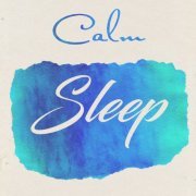 VA - Calm Sleep (2021) FLAC