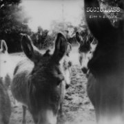 Sociograss - Glee and Glutton (2026)