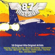 VA - '87 Hots Up (1987)