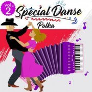 VA - Spécial Danse - Polka (Volume 2 - 23 Titres) (2020)