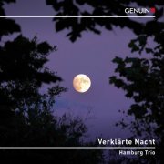 Hamburg Trio - Verklärte Nacht (2023)