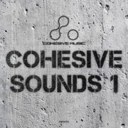 VA - Cohesive Sounds 1 (2026)