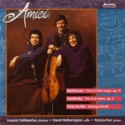 Amici Chamber Ensemble - Amici (1995)