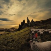 Franck Carducci - Sheeple (2026) [Hi-Res]