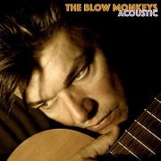 The Blow Monkeys - Acoustic (2019)