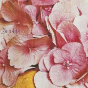 Still Life - Still Life (1991) CD-Rip