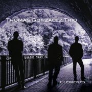 Thomas Gonzalez Trio - Elements (2021) [Hi-Res]