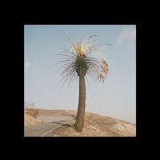 Big Thief - Passional Relations EP (2025) [Hi-Res]