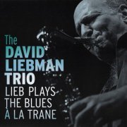 The David Liebman Trio - Lieb Plays the Blues a la Trane (2010)