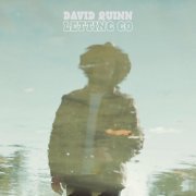 David Quinn - Letting Go (2020)