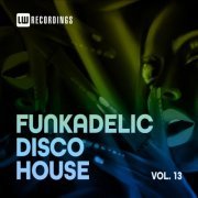 VA - Funkadelic Disco House, 13 (2022)