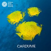 Cardume - Cardume (2025) [Hi-Res]