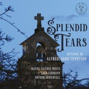 Brian Thorsett - Splendid Tears (2024)