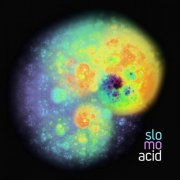 VA - Slo Mo Acid (2025)