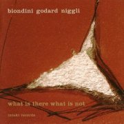 Luciano Biondini - What Is There What Is Not (2011)