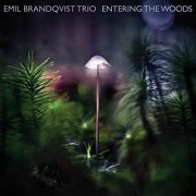 Emil Brandqvist Trio - Entering the Woods (2020) Hi Res