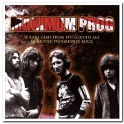 VA - Maximum Prog - 16 Rare Gems From The Golden Age Of British Progressive Rock (2009)