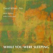 David White - Trio - While You Were Sleeping (2025)