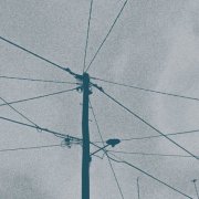 Werner Dafeldecker + Eliad Wagner - Fray Field (2026)