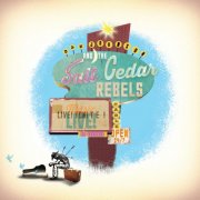 Dan Johnson - Dan Johnson and the Salt Cedar Rebels (2015)