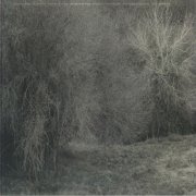 K. Leimer - Atrophies for Piano (2026)