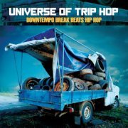 VA - Universe of Trip Hop (Downtempo Break Beats Hip Hop) (2020) flac