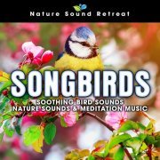 Nature Sound Retreat - Songbirds: Soothing Bird Sounds - Nature Sounds & Meditation Music (2020) [Hi-Res]