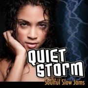 VA - Quiet Storm: Soulful Slow Jams (2012)