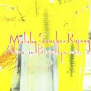 Tony Malaby, Angelica Sanchez, Tom Rainey - Alive in Brooklyn Vol. 2 (2005)