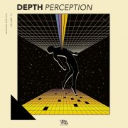 VA - Depth Perception Vol. 13 (2025)