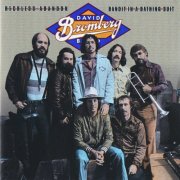 David Bromberg Band – Reckless Abandon, Bandit In A Bathing Suit (1998)