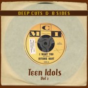 Various Artists - Deep Cuts & B Sides: Teen Idols, Vol. 1 (2015)