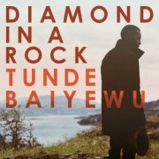 Tunde Baiyewu - Diamond In A Rock (2013)