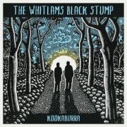 The Whitlams - Kookaburra (2024) Hi-Res