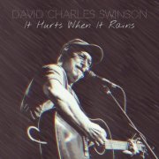 David Charles Swinson - It Hurts When It Rains (2023)