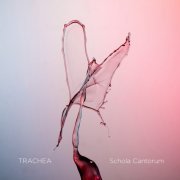 Schola Cantorum & Tone Bianca Sparre Dahl - Trachea (2019) [Hi-Res]